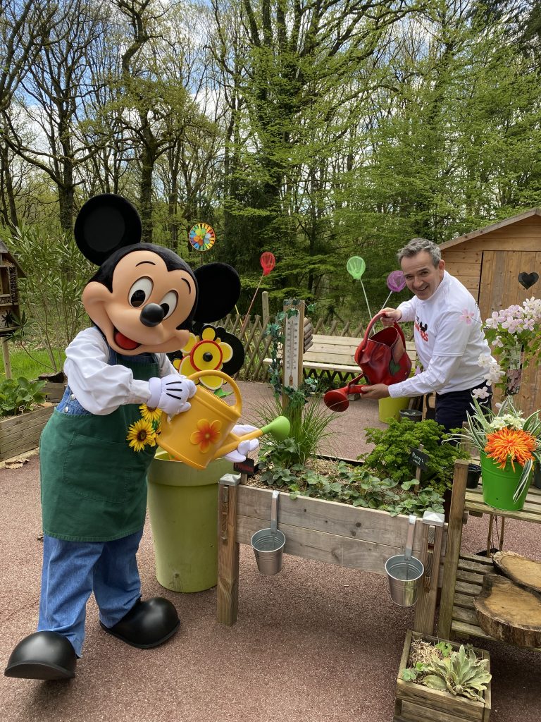 Mickey Mouse and Disney VoluntEAR