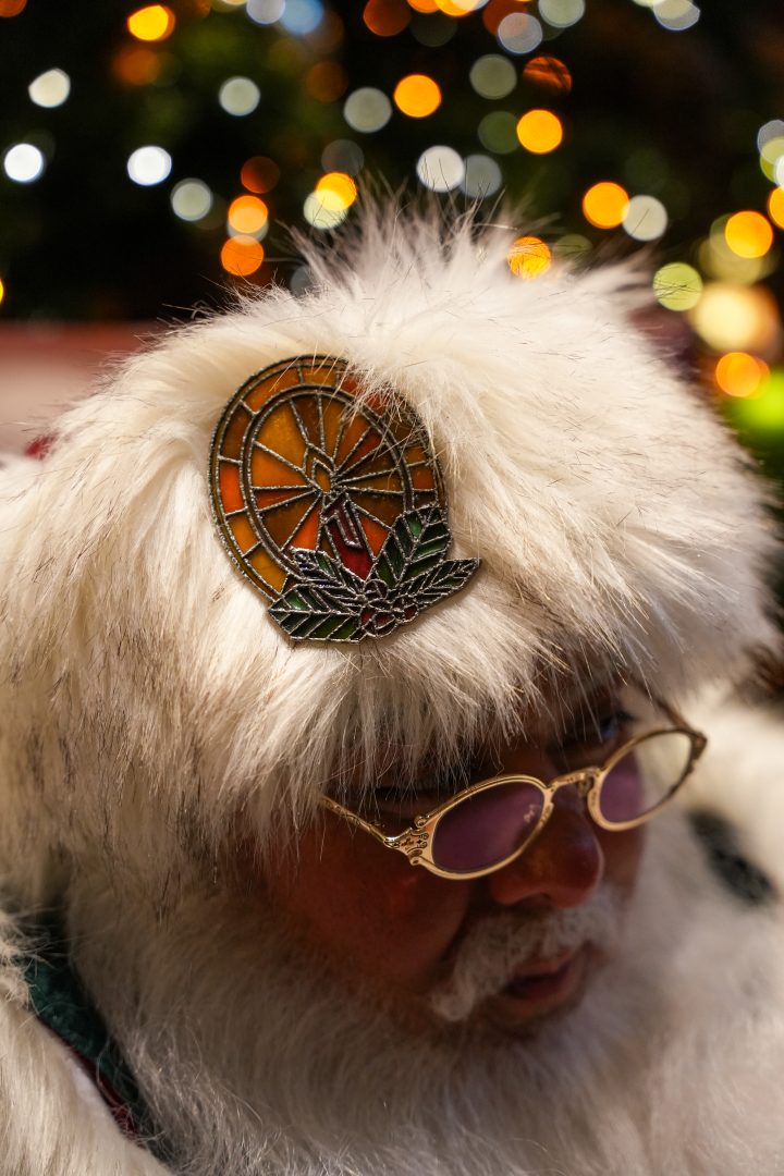 Santa Claus’ hat adorned with the brooch.