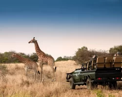 Africa
